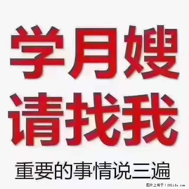 为什么要学习月嫂,育婴师? - 新手上路 - 怒江生活社区 - 怒江28生活网 nujiang.28life.net