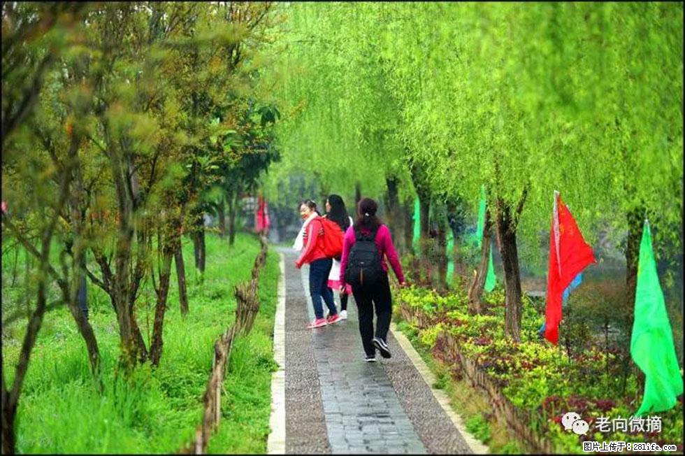 【春天，广西桂林灌阳县向您发出邀请！】江口老街又逢春 - 游山玩水 - 怒江生活社区 - 怒江28生活网 nujiang.28life.net