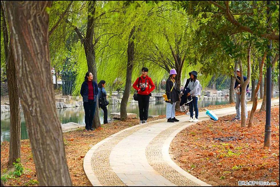 【春天，广西桂林灌阳县向您发出邀请！】江口老街又逢春 - 游山玩水 - 怒江生活社区 - 怒江28生活网 nujiang.28life.net