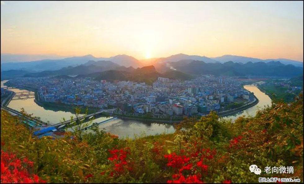 【春天，广西桂林灌阳县向您发出邀请！】登麒麟山，相约映山红 - 游山玩水 - 怒江生活社区 - 怒江28生活网 nujiang.28life.net