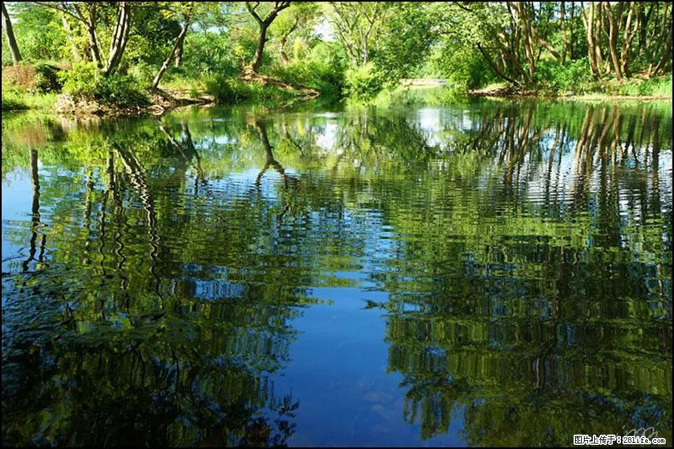 【春天，广西桂林灌阳县向您发出邀请！】熊家寨湿地公园 - 游山玩水 - 怒江生活社区 - 怒江28生活网 nujiang.28life.net