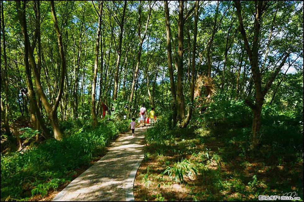 【春天，广西桂林灌阳县向您发出邀请！】熊家寨湿地公园 - 游山玩水 - 怒江生活社区 - 怒江28生活网 nujiang.28life.net