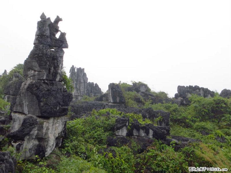 桂林旅游名城景点：灌阳文市石林 - 游山玩水 - 怒江生活社区 - 怒江28生活网 nujiang.28life.net