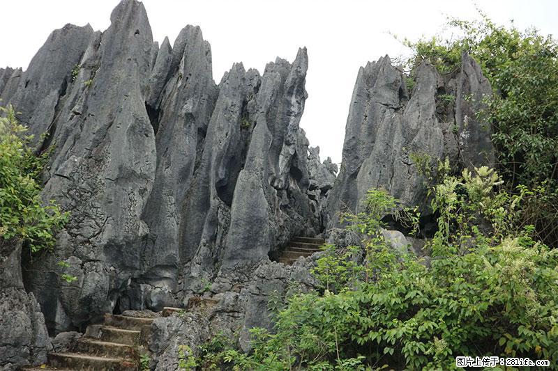 桂林旅游名城景点：灌阳文市石林 - 游山玩水 - 怒江生活社区 - 怒江28生活网 nujiang.28life.net