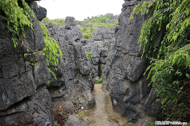 桂林旅游名城景点：灌阳文市石林 - 游山玩水 - 怒江生活社区 - 怒江28生活网 nujiang.28life.net