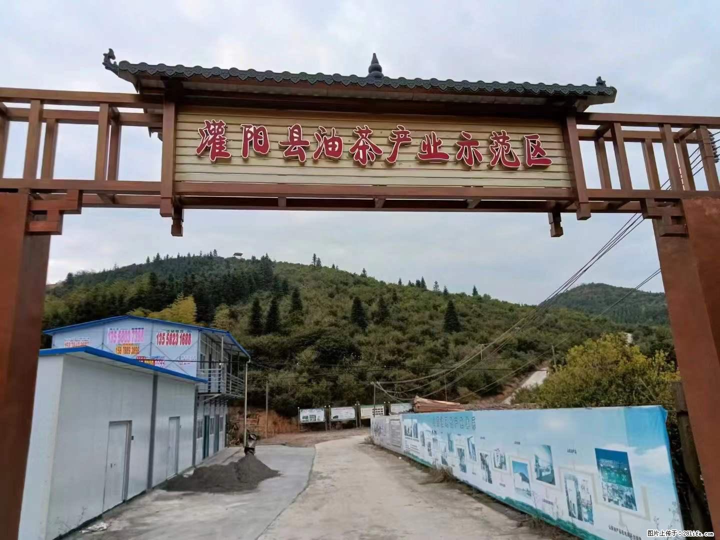 【灌阳县油茶产业示范区】一个有着充实的精神生活的人，对待身外之物自会有一种淡泊的态度 - 美食天地 - 怒江生活社区 - 怒江28生活网 nujiang.28life.net