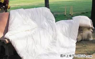 被子有异味？只要这样做，比晒太阳还强100倍！ - 家居生活 - 怒江生活社区 - 怒江28生活网 nujiang.28life.net