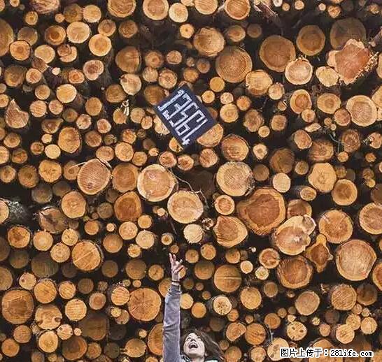 辞掉工作周游世界？现在他们在洗厕所…… - 游山玩水 - 怒江生活社区 - 怒江28生活网 nujiang.28life.net