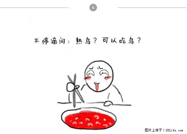 千万不要和这9种哈卵一起吃火锅！ - 美食天地 - 怒江生活社区 - 怒江28生活网 nujiang.28life.net