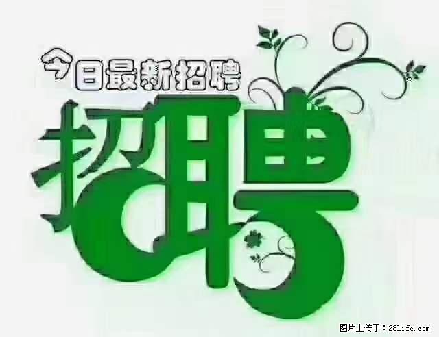 上海隔离酒店招人：55岁以下 男女不限 - 职场交流 - 怒江生活社区 - 怒江28生活网 nujiang.28life.net