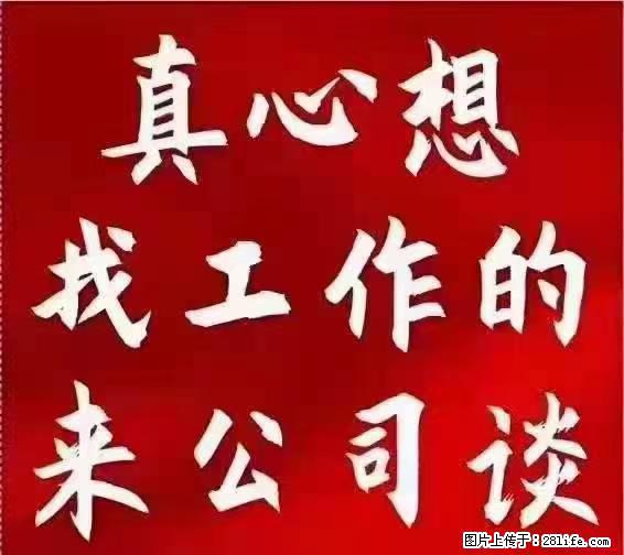 【上海】国企,医院招两名男保安,55岁以下,身高1.7米以上,无犯罪记录不良嗜好 - 职场交流 - 怒江生活社区 - 怒江28生活网 nujiang.28life.net