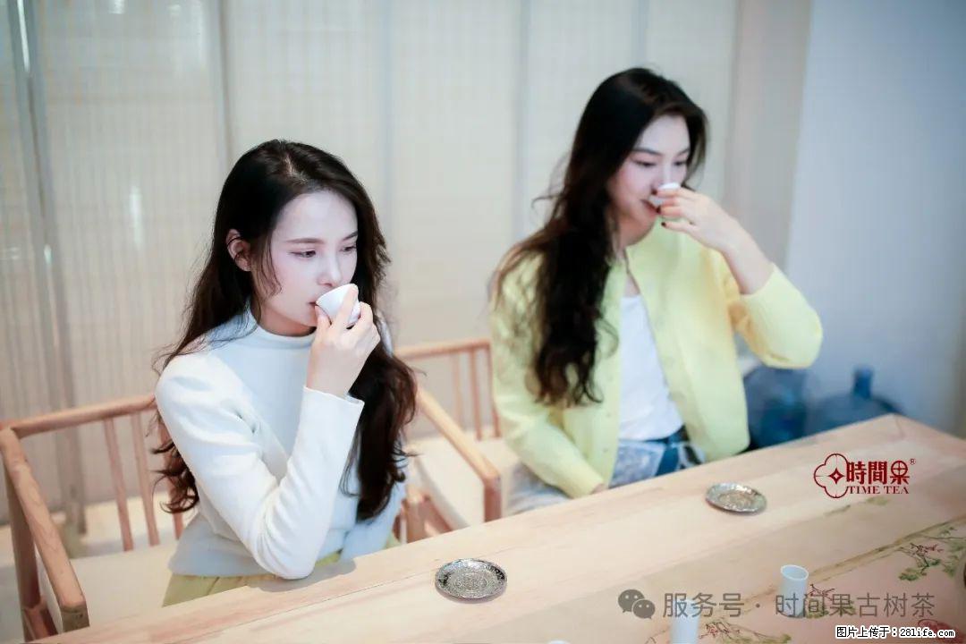 时间果百年古树龙珠普洱生茶 - 购物交流 - 怒江生活社区 - 怒江28生活网 nujiang.28life.net