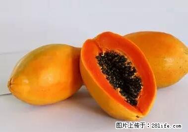 晕车、脚气、牙齿变黄、皮肤粗糙？学会这些三分钟搞定！ - 怒江生活资讯 - 怒江28生活网 nujiang.28life.net