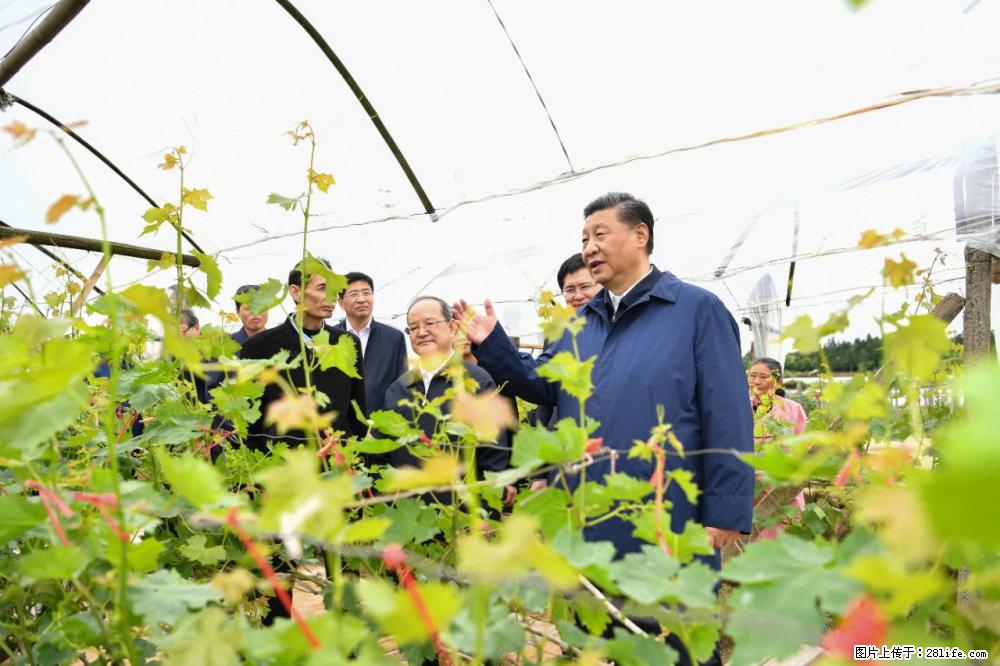 习近平赴广西考察调研 - 怒江生活资讯 - 怒江28生活网 nujiang.28life.net