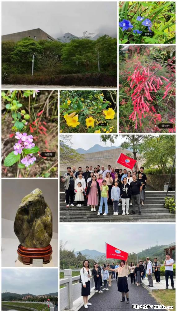 “粤灌文化 美好生活”油茶文化主题活动在广东深圳成功举办 - 怒江生活资讯 - 怒江28生活网 nujiang.28life.net