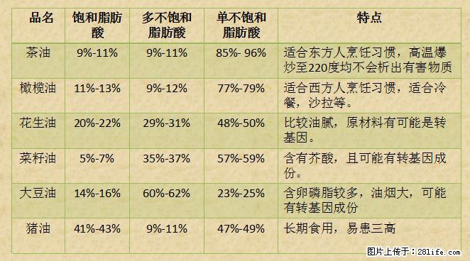 揭秘茶油的5大核心营养成分！被称为人体健康的“守护盾”！ - 怒江生活资讯 - 怒江28生活网 nujiang.28life.net