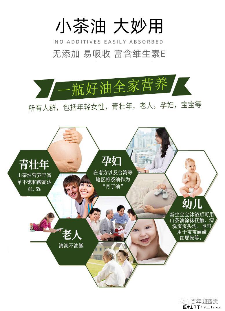 世界没有真相，只有认知，最好的食用油是中国的山茶油！ - 怒江生活资讯 - 怒江28生活网 nujiang.28life.net