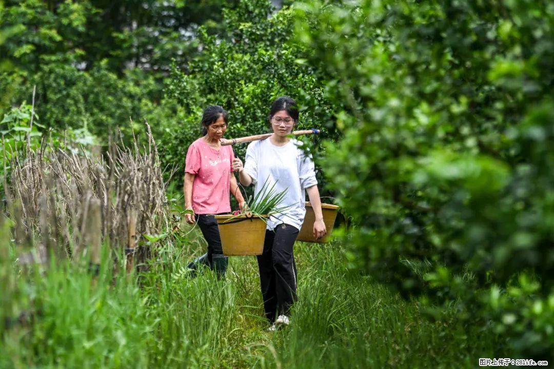 全网追的“扁担女孩”，找了一份暑假工，时薪12元 - 怒江生活资讯 - 怒江28生活网 nujiang.28life.net