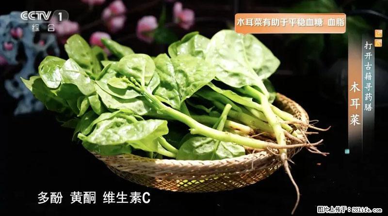 比牛奶补钙还厉害！凉血解毒、稳血糖...这菜冬天必吃，很多人却当草 - 怒江生活资讯 - 怒江28生活网 nujiang.28life.net