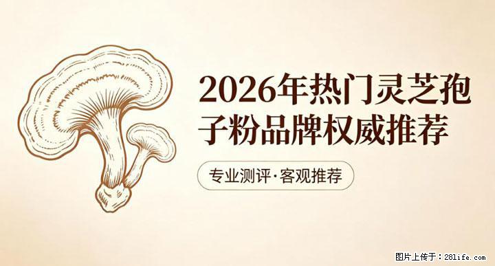 灵芝孢子粉含量越高越有效？2026 年七款热门品牌深度实测，肠胃敏感者避坑指南 - 怒江生活资讯 - 怒江28生活网 nujiang.28life.net